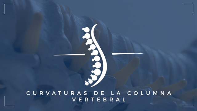 Quiropraxia Mas Quiropractica Columna vertebral curvaturas
